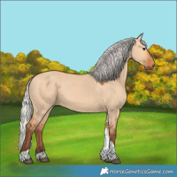Horse Color:Silver Bay Dun Tobiano Rabicano 