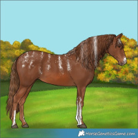 Horse Color:Powder White Chestnut 