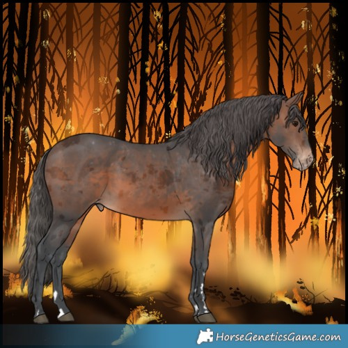 Horse Color:Brown Merle Varnish