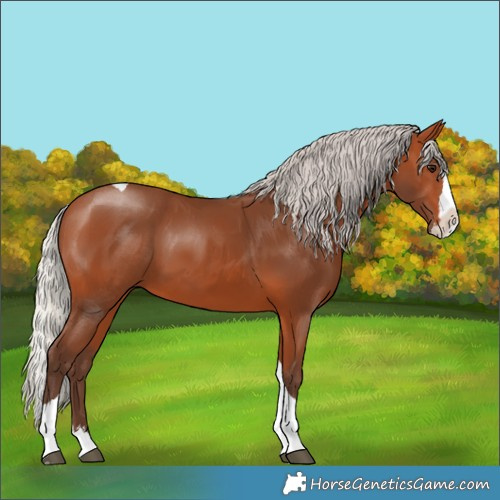 Horse Color:Silver Bay Splash Tobiano 