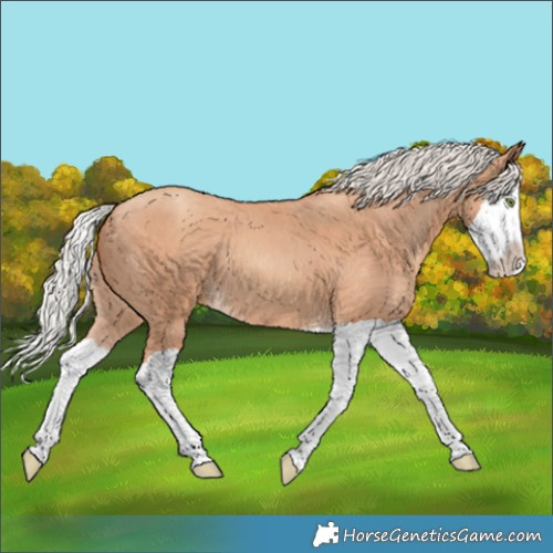 Horse Color:Silver Classic Champagne Splash