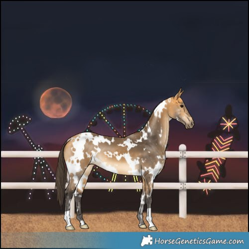 Horse Color:White Spotted Buckskin