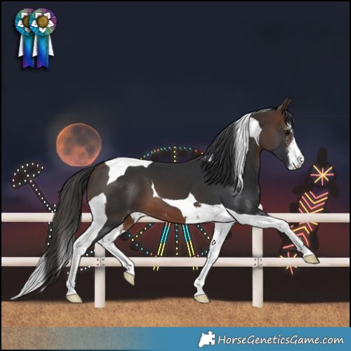Horse Color:Brown Sabino Tobiano 