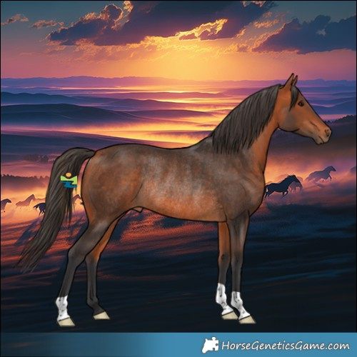 Horse Color:Bay Rabicano