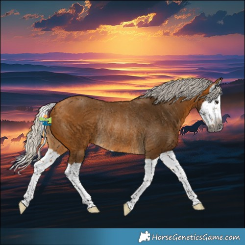 Horse Color:Gray Silver Buckskin Splash Rabicano