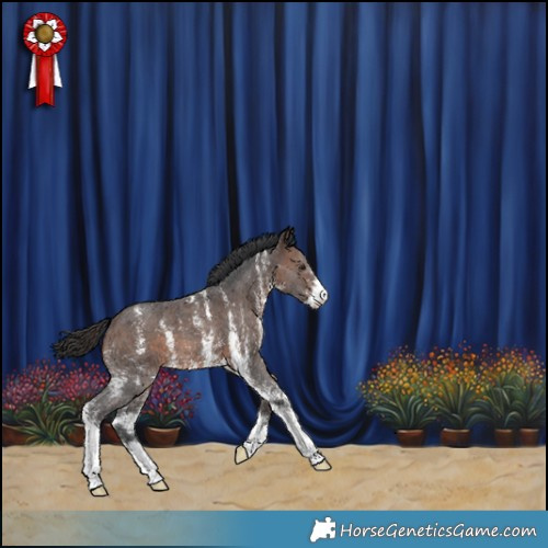 Horse Color:Brown Sabino 