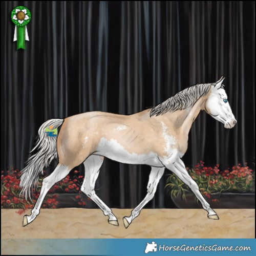Horse Color:Silver Buckskin Pearl Sabino Splash