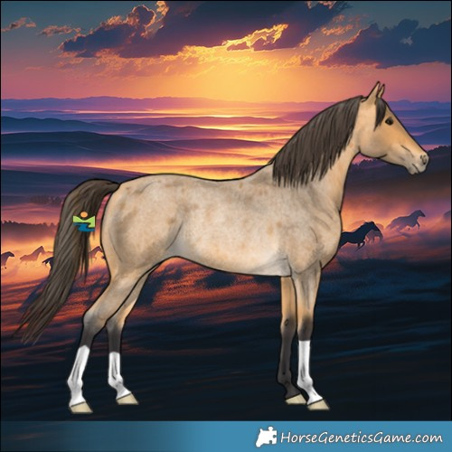 Horse Color:Buckskin Roan Rabicano 