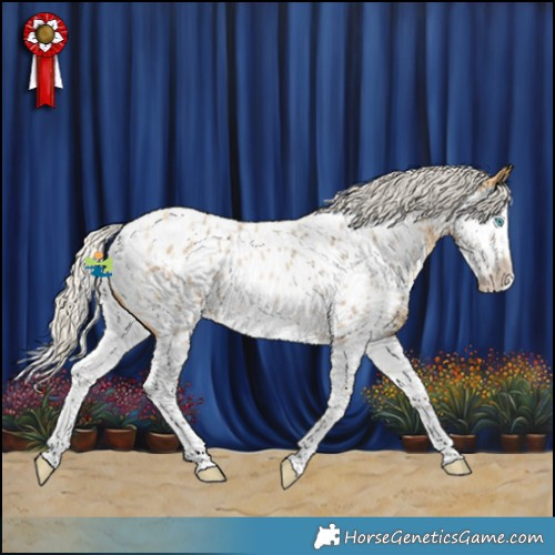 Horse Color:Silver Buckskin Roan Splash Appaloosa 