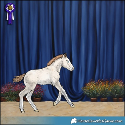 Horse Color:Buckskin Pearl Dun Sabino Splash 