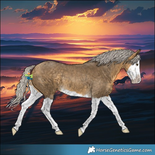 Horse Color:Silver Buckskin Dun Splash Rabicano