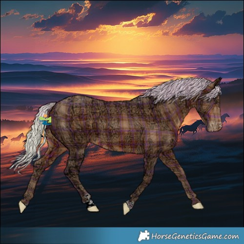 Horse Color:Plaid  Silver Bay Ice Varnish 