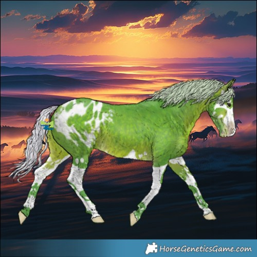 Horse Color:Watercolor Silver Bay Splash Appaloosa