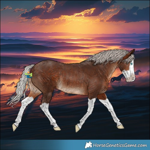 Horse Color:Silver Brown Splash Rabicano