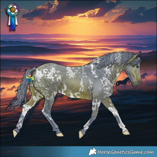 Horse Color:Watercolor White Spotted Brown