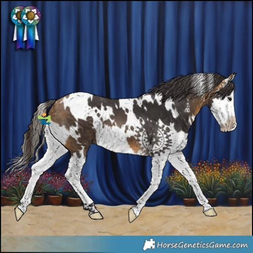 Horse Color:White Spotted Buckskin Splash 