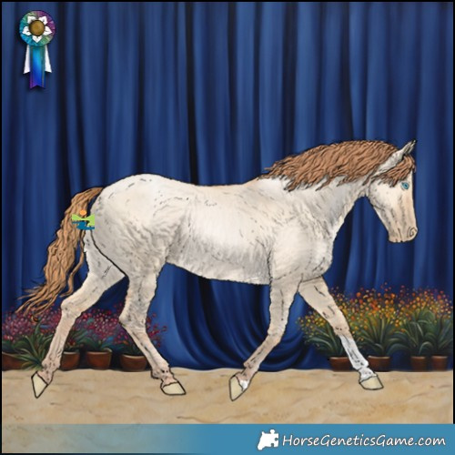 Horse Color:Buckskin Pearl Dun 