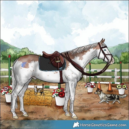 Horse Color:Silver Bay Splash Varnish 