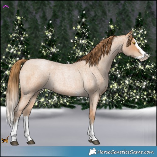Horse Color:Bay Roan Pearl Sabino Splash Rabicano