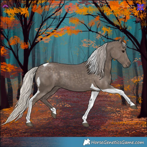 Horse Color:Silver Black Tobiano 