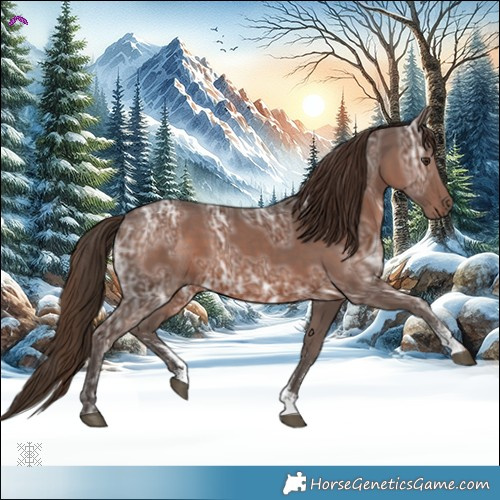 Horse Color:Liver Chestnut Ice Sabino 