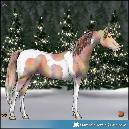 Horse Color:Nacre Bay Pearl Tobiano 