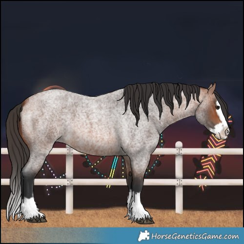 Horse Color:Bay Roan Splash 