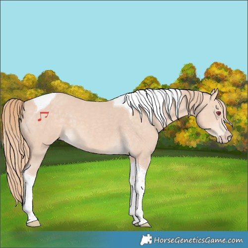 Horse Color:Chocolate Perlino Tobiano