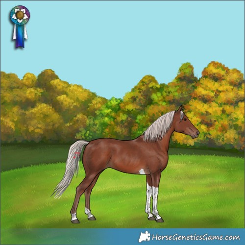 Horse Color:Chocolate Silver Black Tobiano