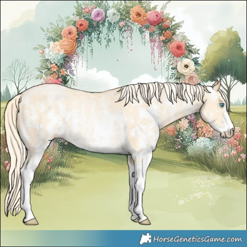 Horse Color:Palomino Pearl Sabino Rabicano