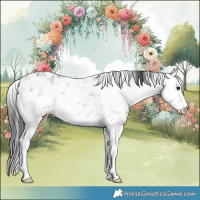 Horse Color:White Spotted Grullo Sabino Rabicano 