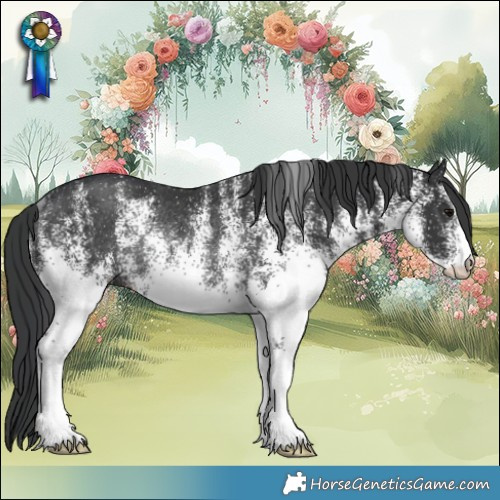 Horse Color:White Spotted Black Rabicano