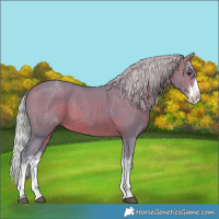 Horse Color:Watercolor White Spotted Silver Brown Splash 