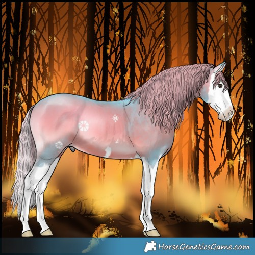 Horse Color:Watercolor Liver Red Onyx Splash