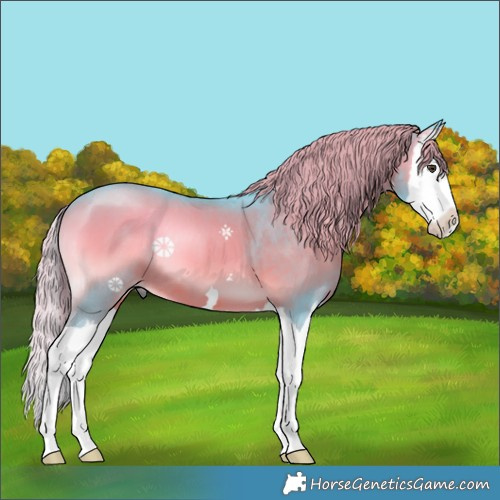 Horse Color:Watercolor Liver Red Onyx Splash 