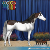 Horse Color:Brown Splash 
