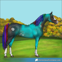 Horse Color:Painted Brown