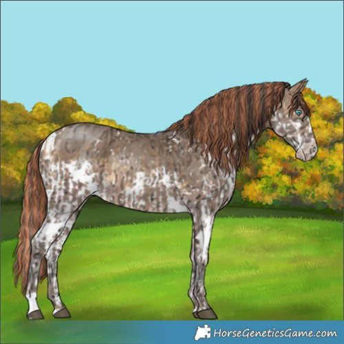 Horse Color:Painted White Spotted Buckskin Splash and White Spotted Sable Champagne Ice