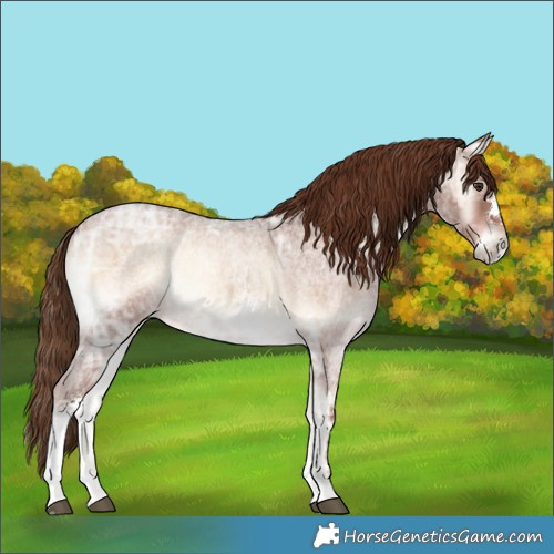 Horse Color:Red Onyx Ice Roan Sabino 