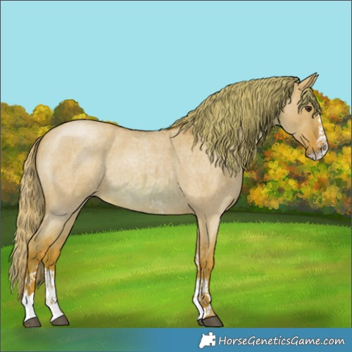 Horse Color:Watercolor Red Dun Roan Sabino 