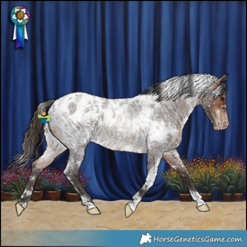 Horse Color:White Spotted Bay Roan Appaloosa Rabicano