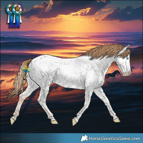 Horse Color:Brown Snowdrop Pearl Tobiano Appaloosa