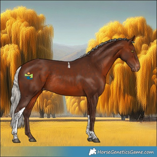 Horse Color:Silver Brown Tobiano Appaloosa Rabicano
