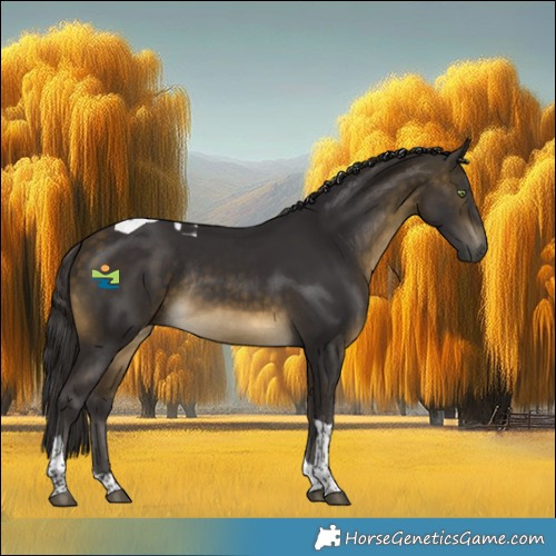 Horse Color:Buckskin Tobiano Rabicano