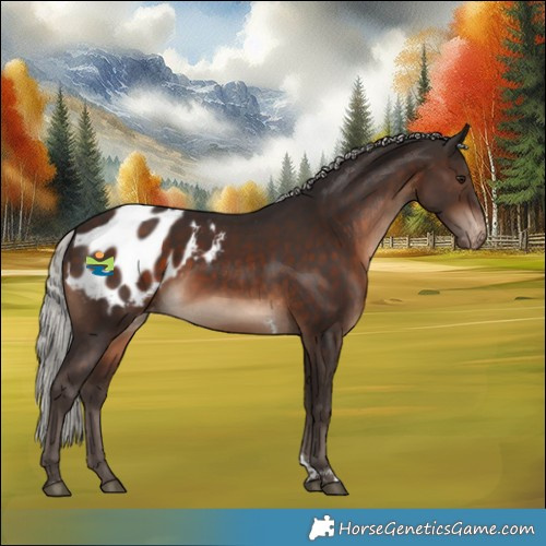 Horse Color:Silver Brown Tobiano Appaloosa Rabicano 