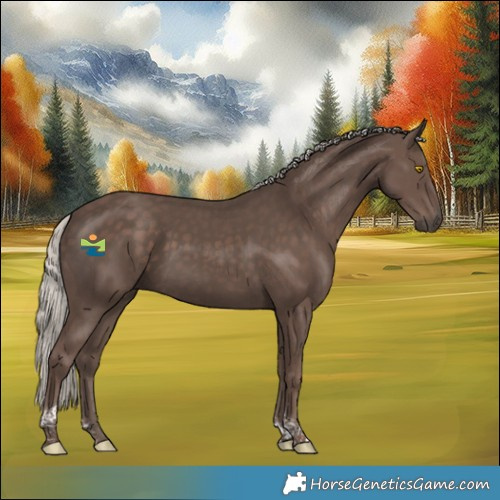 Horse Color:Silver Black Tobiano