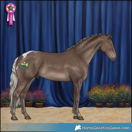 Horse Color:Silver Black Tobiano 