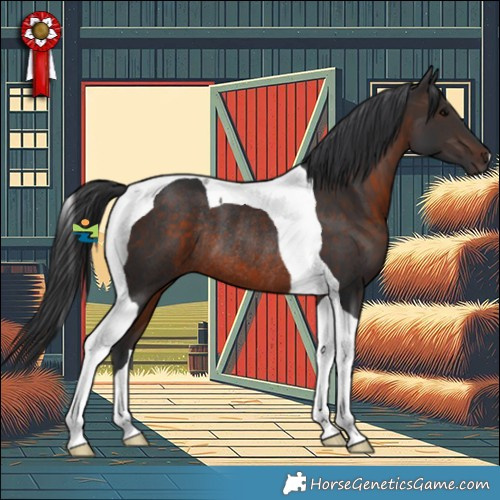 Horse Color:Brown Tobiano Rabicano 