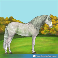 Horse Color:Watercolor White Spotted Silver Brown Ice Splash Frame 