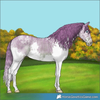 Horse Color:Watercolor Liver Chestnut Ice Splash 